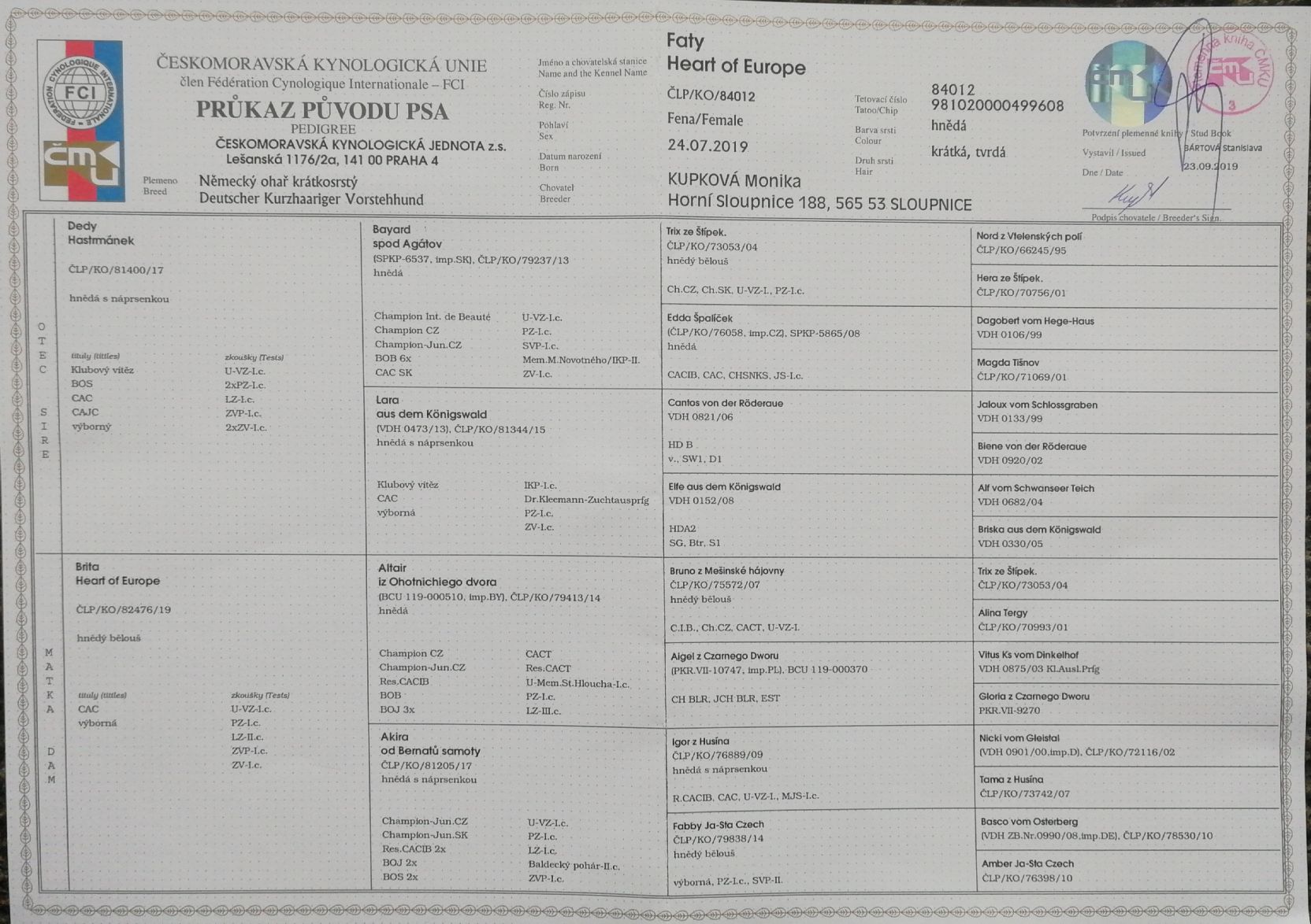 Faty PP1